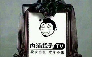 好看的脱口秀抖音段子大全，好看的脱口秀抖音段子大全视频