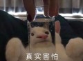 沙雕搞笑恶搞文案，沙雕搞笑文案