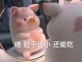 硕士沙雕文案，硕士沙雕文案搞笑