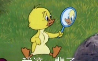 不想说话文案沙雕，不想说话文案沙雕句子