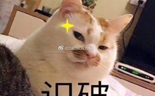 沙雕文案群发，群发沙雕内容