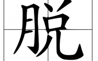 脱口秀里关于恋综的段子，脱口秀李雪琴的段子全集视频