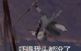 刀虎恶搞视频，刀虎恶搞视频大全