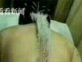 中医恶搞视频，中医恶搞视频下载