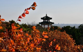 海淀区游玩攻略，海淀区游玩攻略一日游