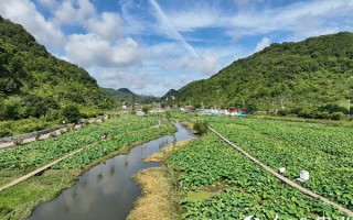 安顺乡村游玩攻略，安顺乡村游玩攻略一日游