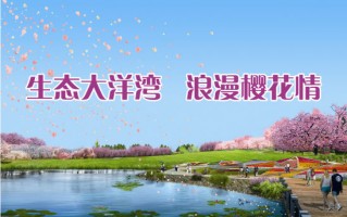 大洋湾情景短剧在线观看，大洋湾情景短剧在线观看全集