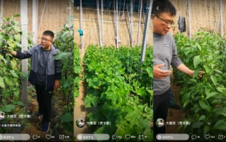 种菜恶搞视频，种菜恶搞视频大全